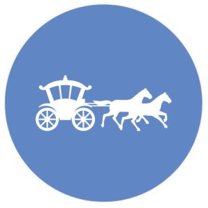 horse carriage insurance