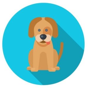Commercial Therapy Dog Insurance
