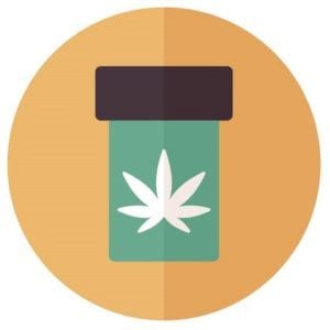 cannabis dispensary insurance in a container icon
