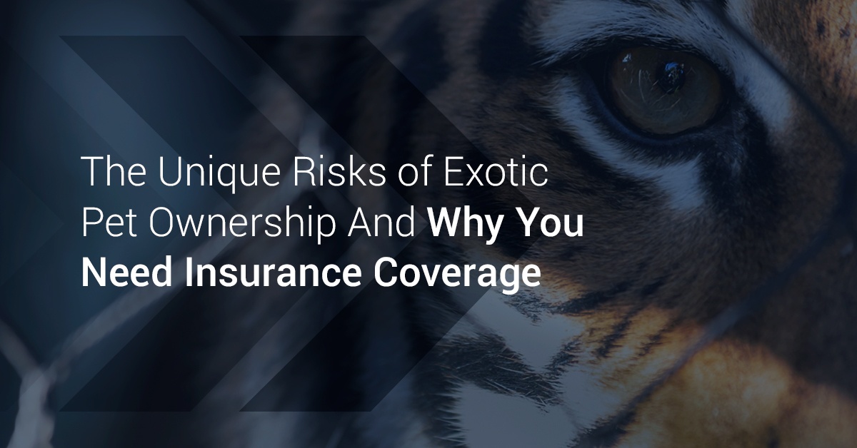 Risks of Exotic Pet Ownership | Insurance for Exotic Pet Owners