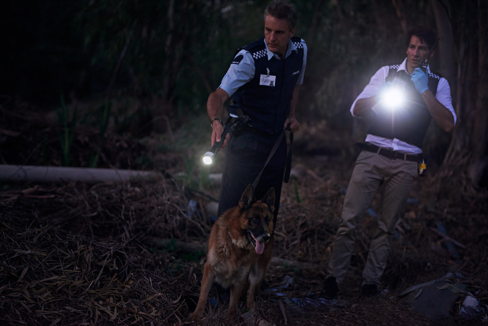 Two policemen and canine tracking through brush | Bail Enforcement Insurance