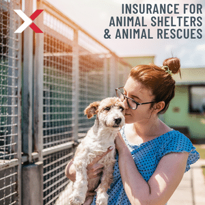 animal shelter insurance and animal rescue insurance