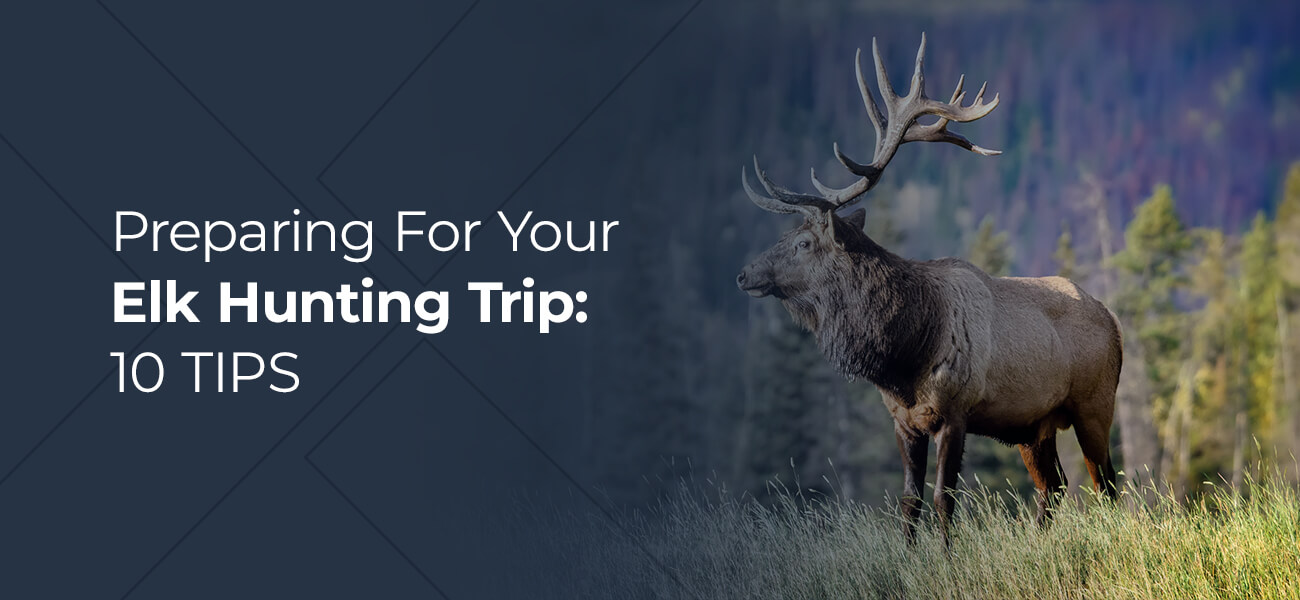 Preparing For Your Elk Hunting Trip: 10 Tips