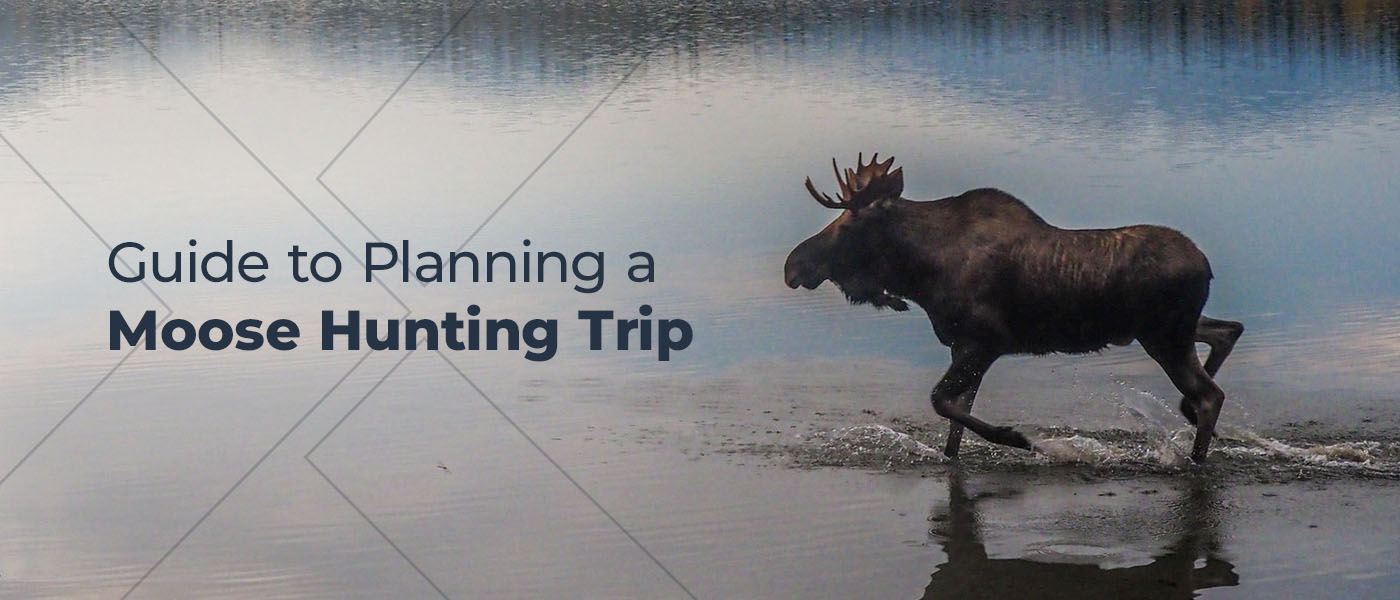 Guide to Planning a Moose Hunting Trip