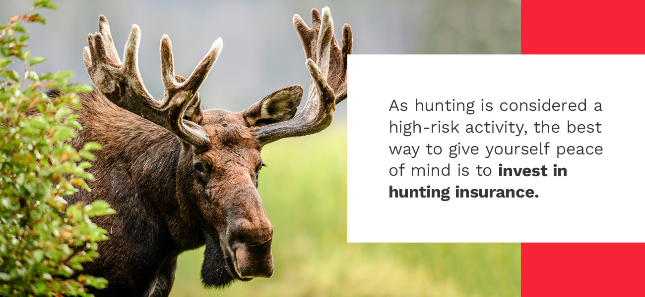 Get Elk Hunting Insurance