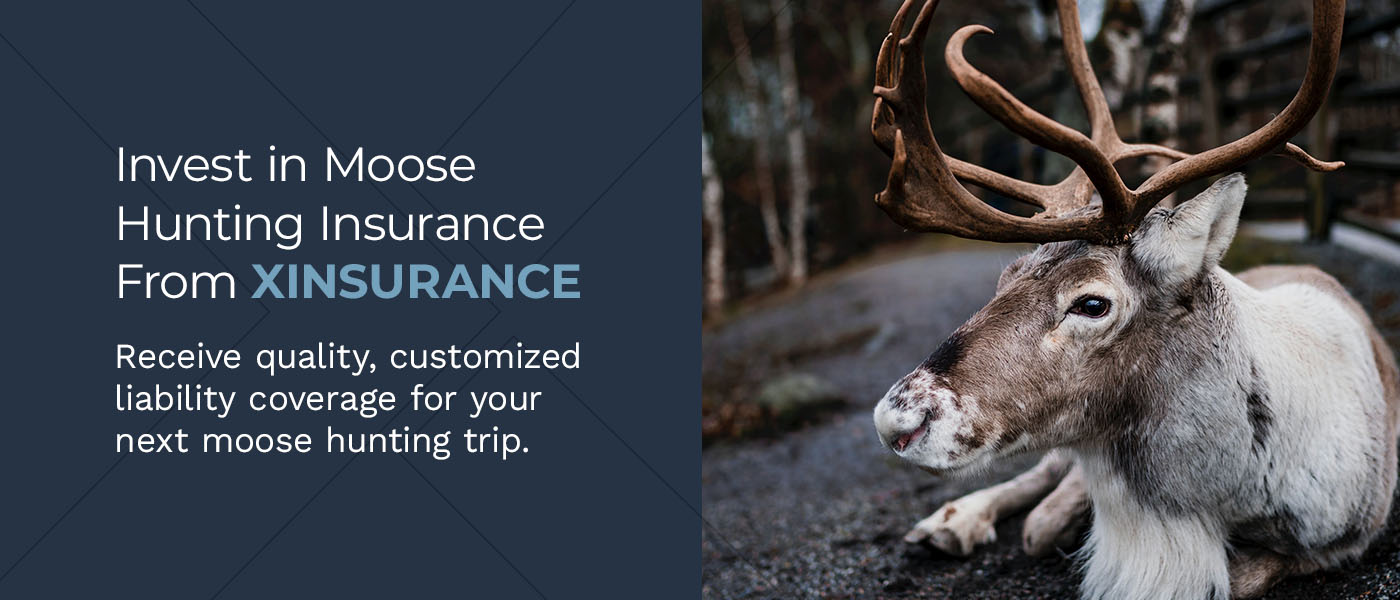 Invest in Moose Hunting Insurance From XINSURANCE