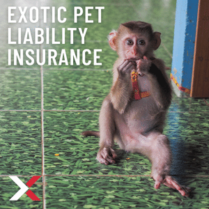 exotic pet liability insurance