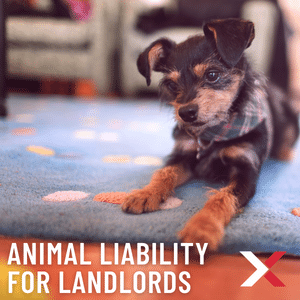 animal liability for landlords who allow pets