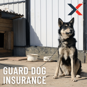 guard dog insurance