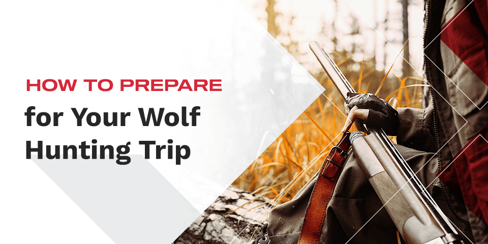How to Prepare for Your Wolf Hunting Trip