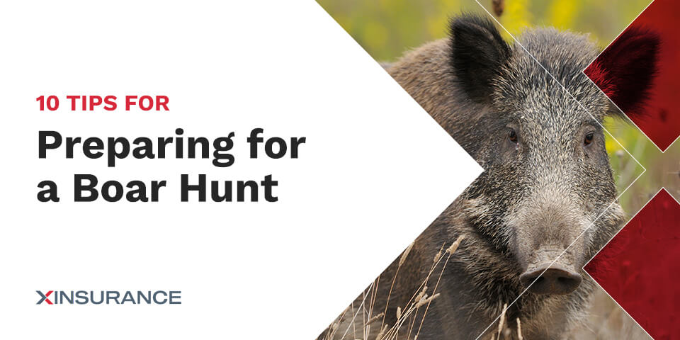 10 Tips for Preparing for a Boar Hunt