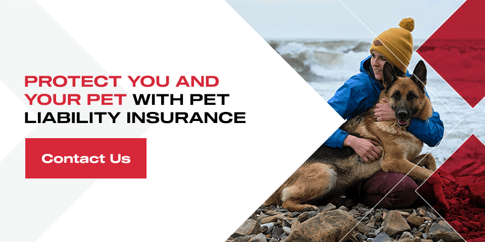 Protect You and Your Pet With Pet Liability Insurance
