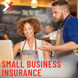 small business insurance from XINSURANCE