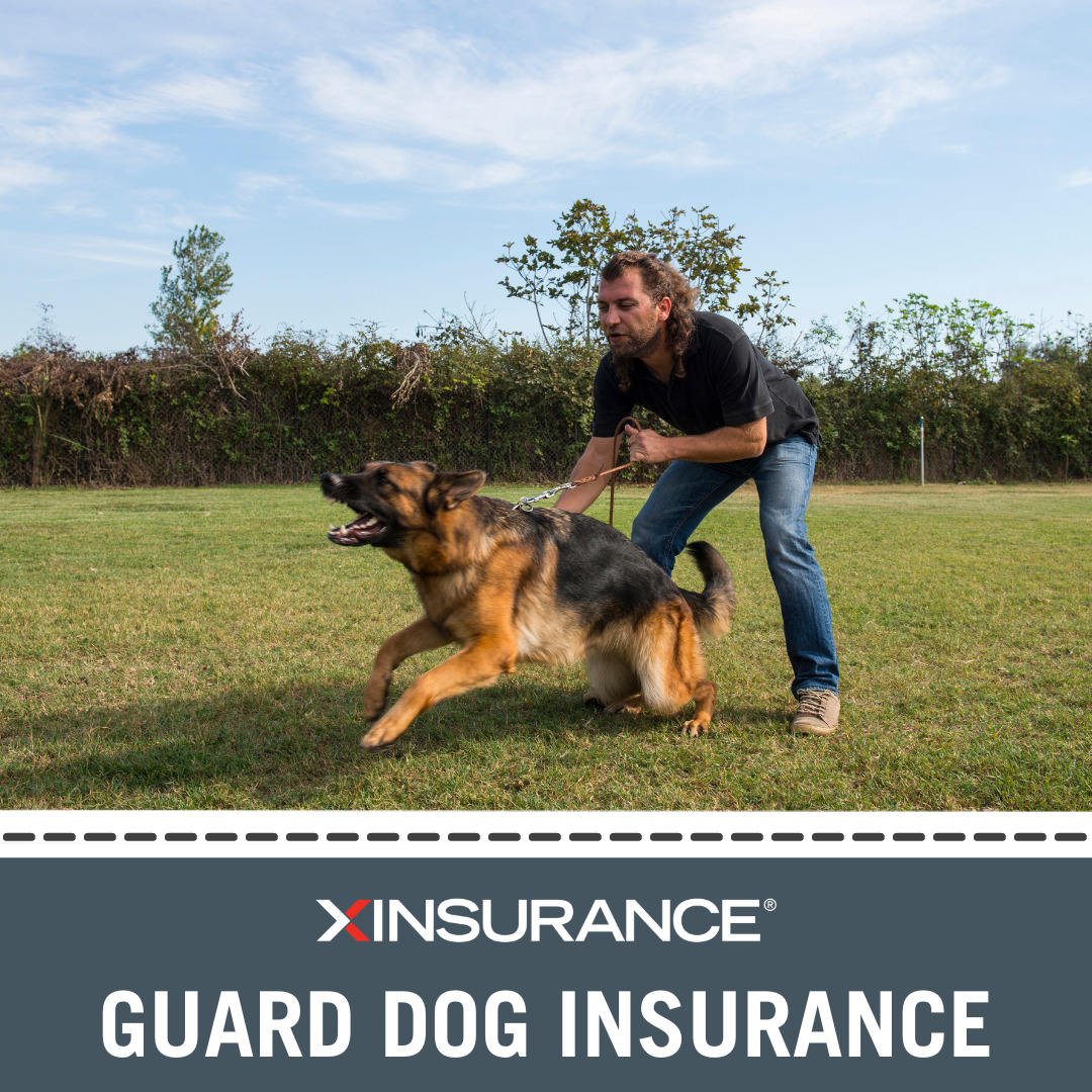 IV. Training and Certification for Guard Dogs