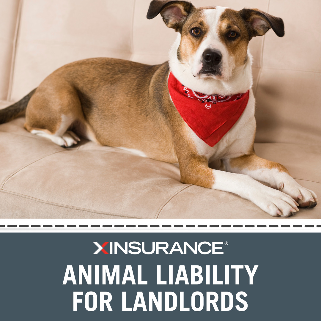 animal liability for landlords