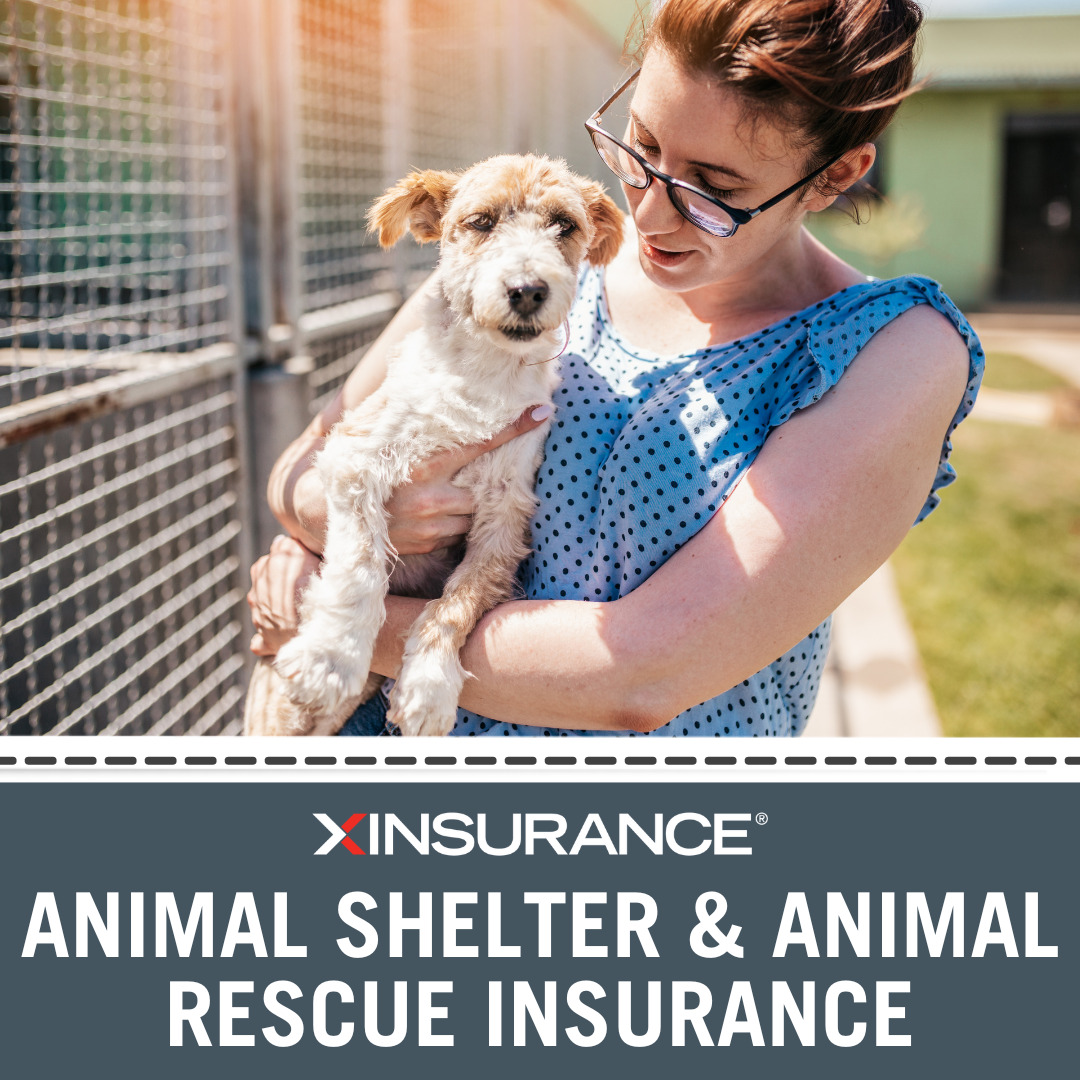 Animal Shelter Insurance | Animal Rescue Insurance