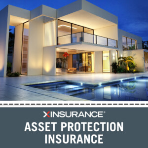 asset protection insurance for businesses and individuals