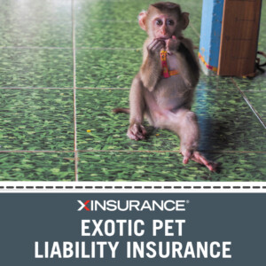 exotic pet liability insurance for exotic pets