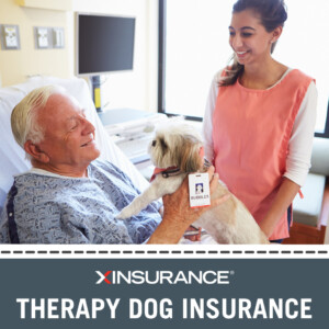 therapy dog insurance