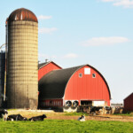 Safety Tips for Farms and Ranches